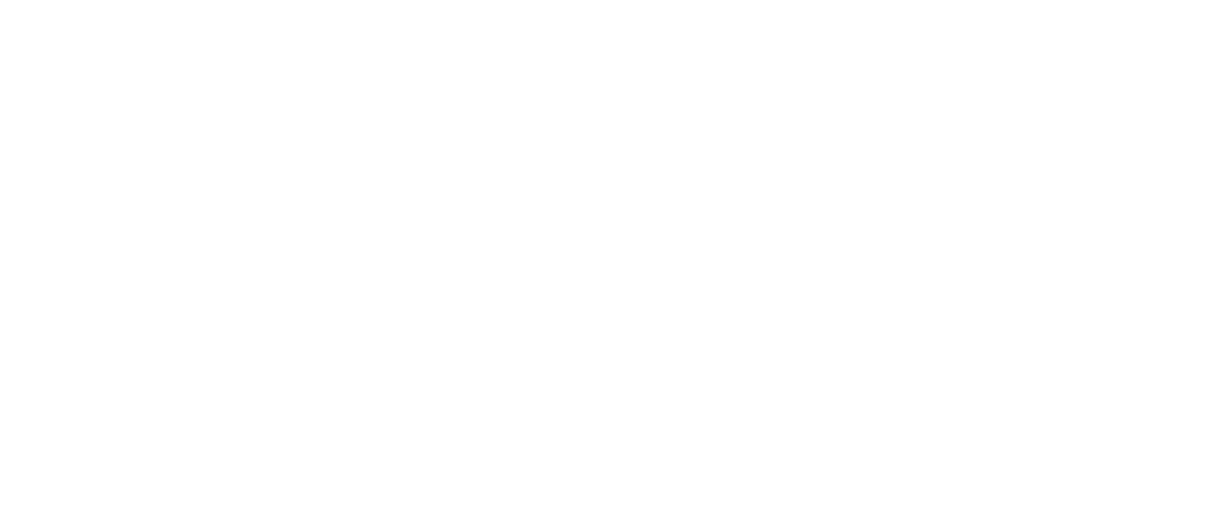 ACTIVITIES